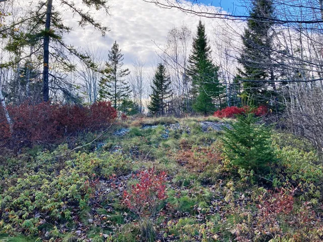 $290,440 | Lot 13-1 West Mcmann & Meadow Roads, Addison, ME 04606