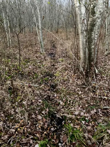 $290,440 | Lot 13-1 West Mcmann & Meadow Roads, Addison, ME 04606