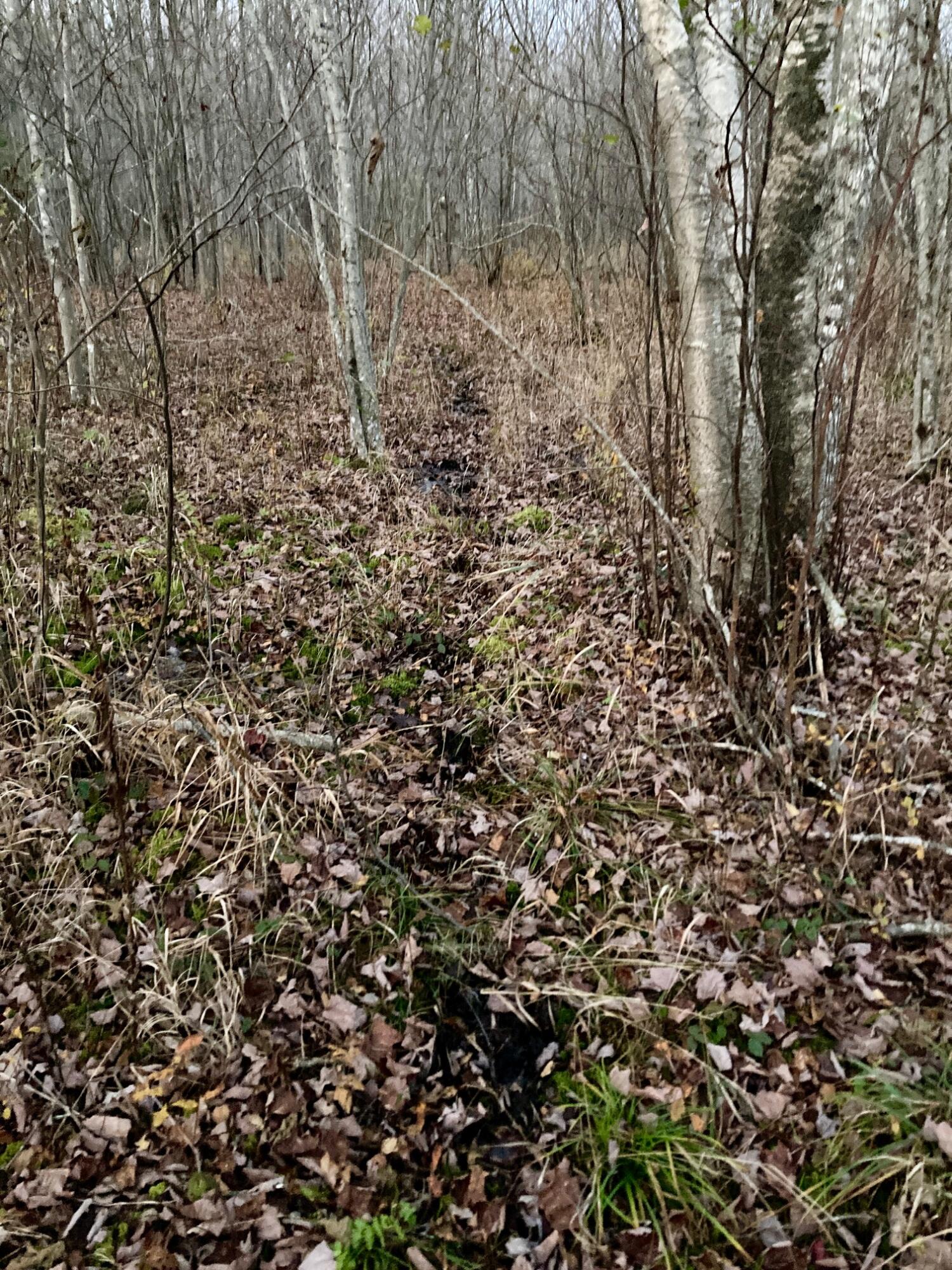 Lot 13-1 West Mcmann & Meadow Roads Addison, ME 04606 - Photo 15 of 88 GameTrail