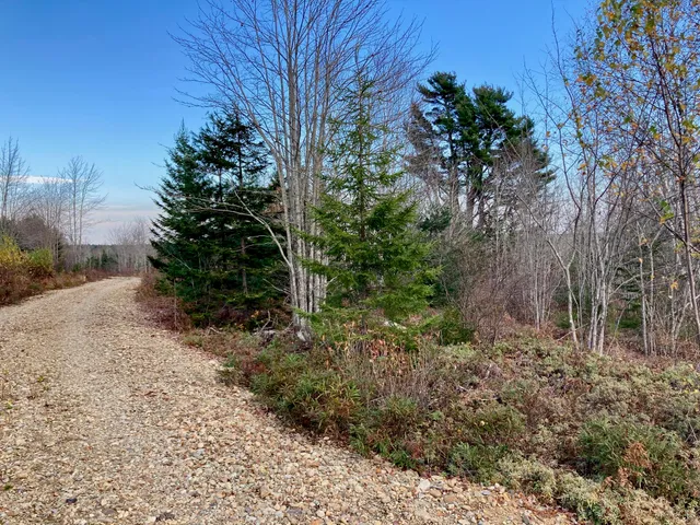 $290,440 | Lot 13-1 West Mcmann & Meadow Roads, Addison, ME 04606