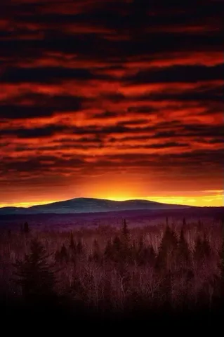 $290,440 | Lot 13-1 West Mcmann & Meadow Roads, Addison, ME 04606