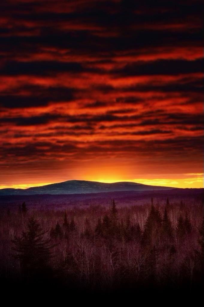 Lot 13-1 West Mcmann & Meadow Roads Addison, ME 04606 - Photo 18 of 88 IMG956729