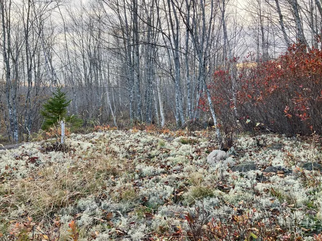 $290,440 | Lot 13-1 West Mcmann & Meadow Roads, Addison, ME 04606