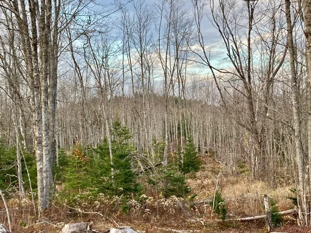 $290,440 | Lot 13-1 West Mcmann & Meadow Roads, Addison, ME 04606