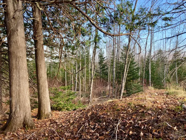 $290,440 | Lot 13-1 West Mcmann & Meadow Roads, Addison, ME 04606