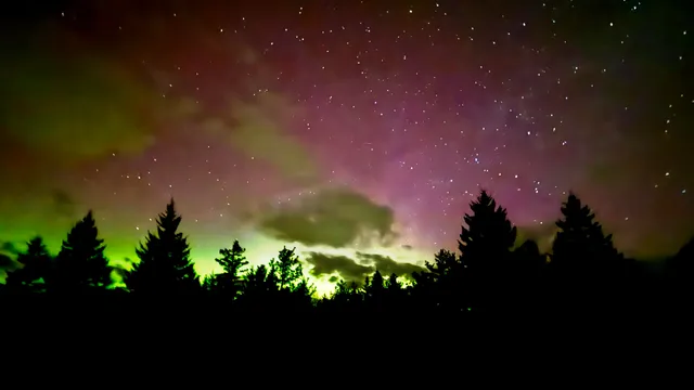 $290,440 | Lot 13-1 West Mcmann & Meadow Roads, Addison, ME 04606