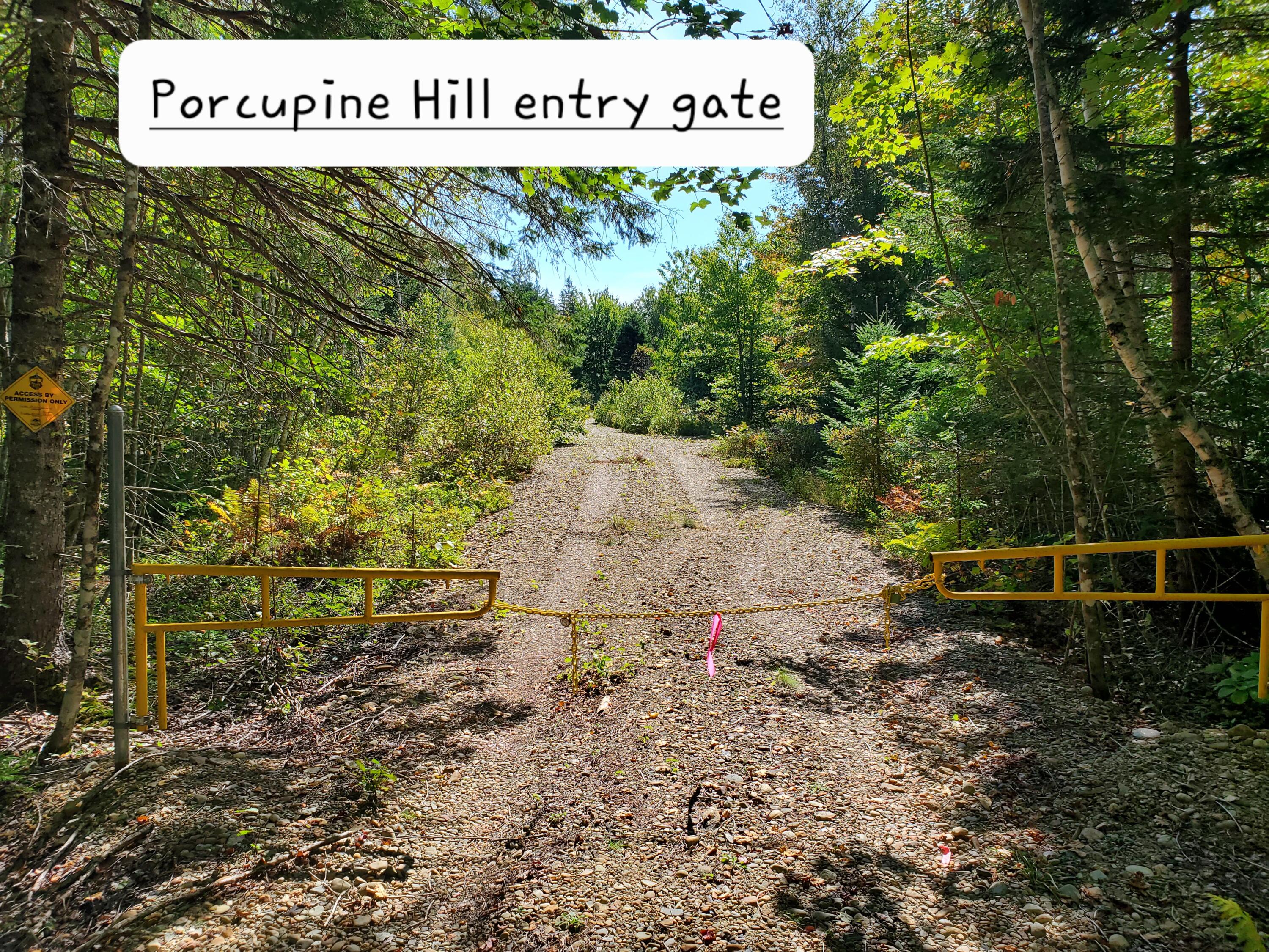 Lot 13-1 West Mcmann & Meadow Roads Addison, ME 04606 - Photo 33 of 88 20240914_110235