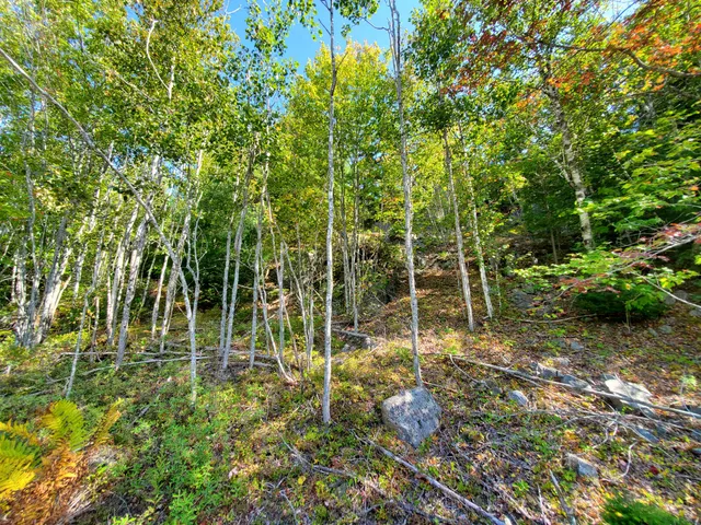 $290,440 | Lot 13-1 West Mcmann & Meadow Roads, Addison, ME 04606