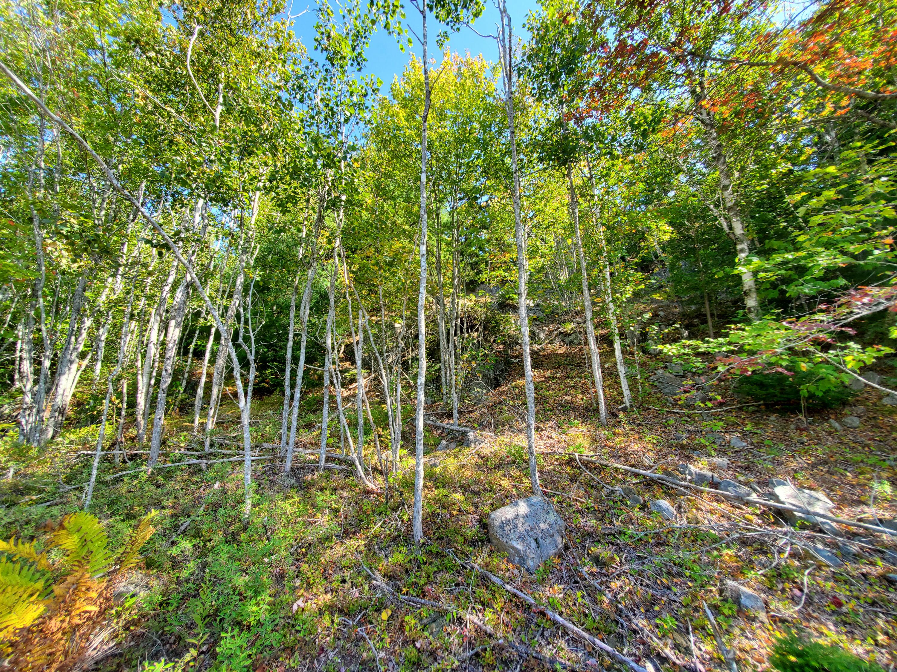 Lot 13-1 West Mcmann & Meadow Roads Addison, ME 04606 - Photo 34 of 88 20240914_110622