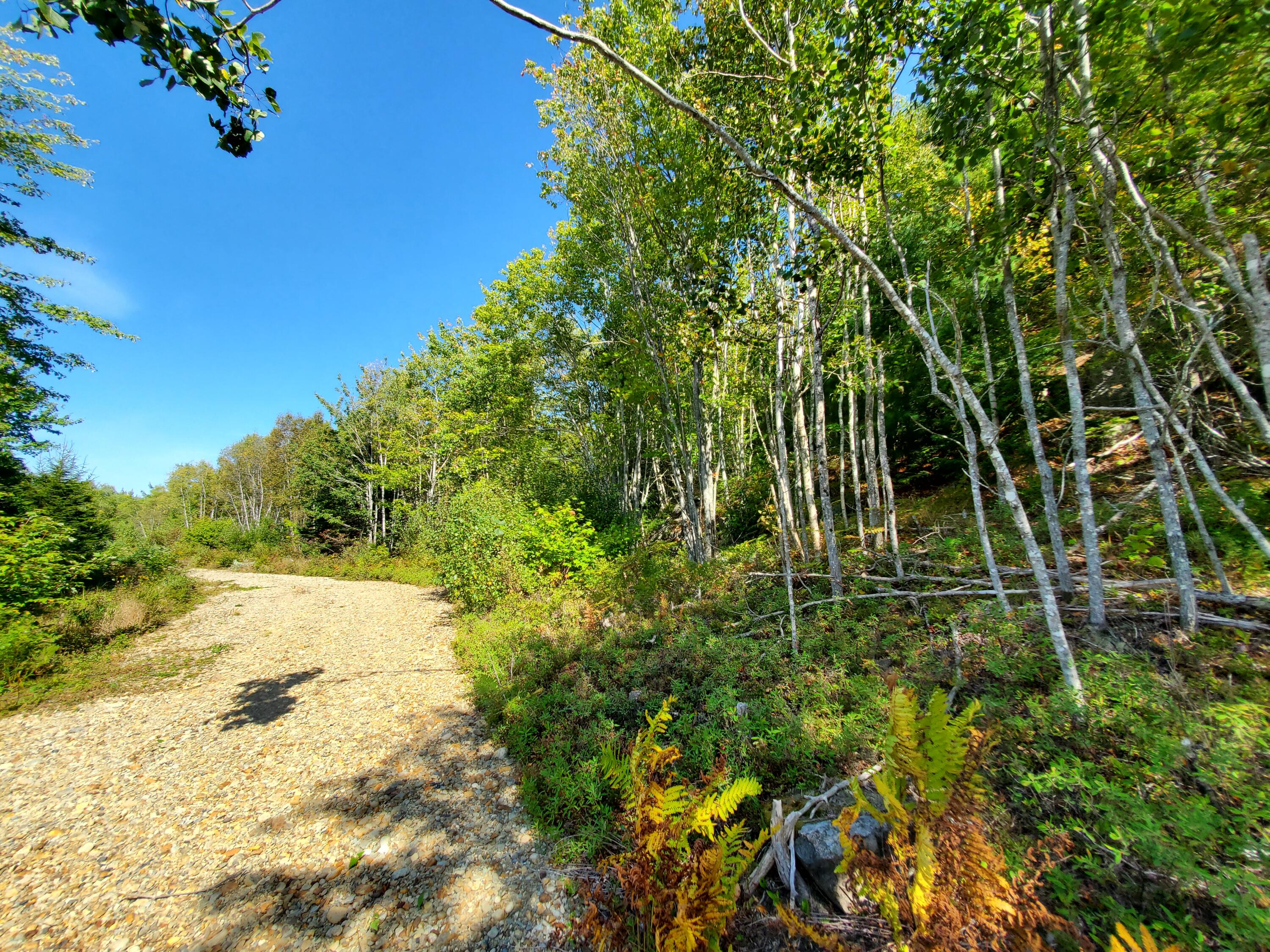 Lot 13-1 West Mcmann & Meadow Roads Addison, ME 04606 - Photo 35 of 88 Porcupine Hill Rd
