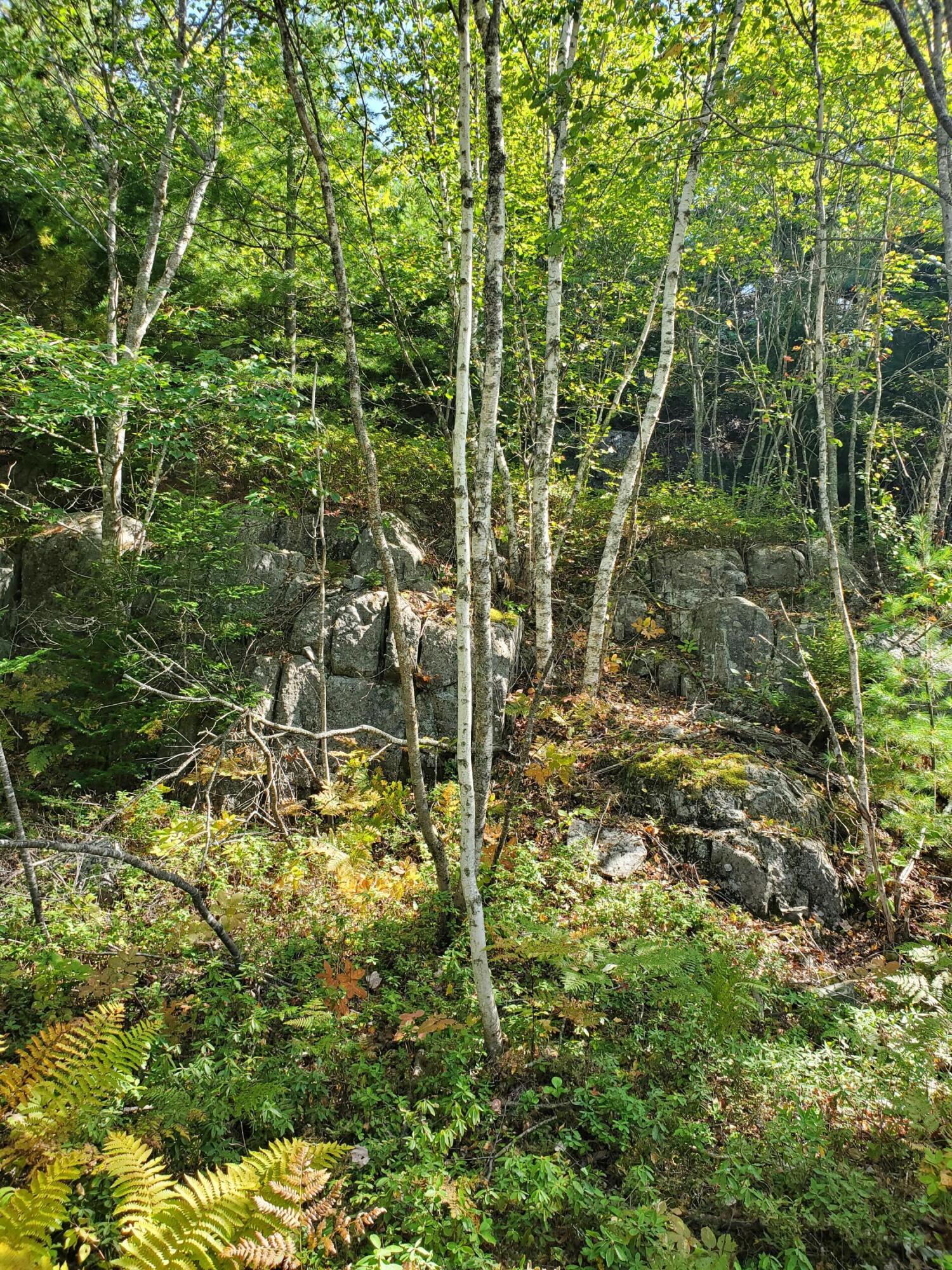 Lot 13-1 West Mcmann & Meadow Roads Addison, ME 04606 - Photo 36 of 88 20240914_110920