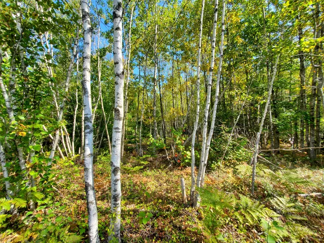 $290,440 | Lot 13-1 West Mcmann & Meadow Roads, Addison, ME 04606