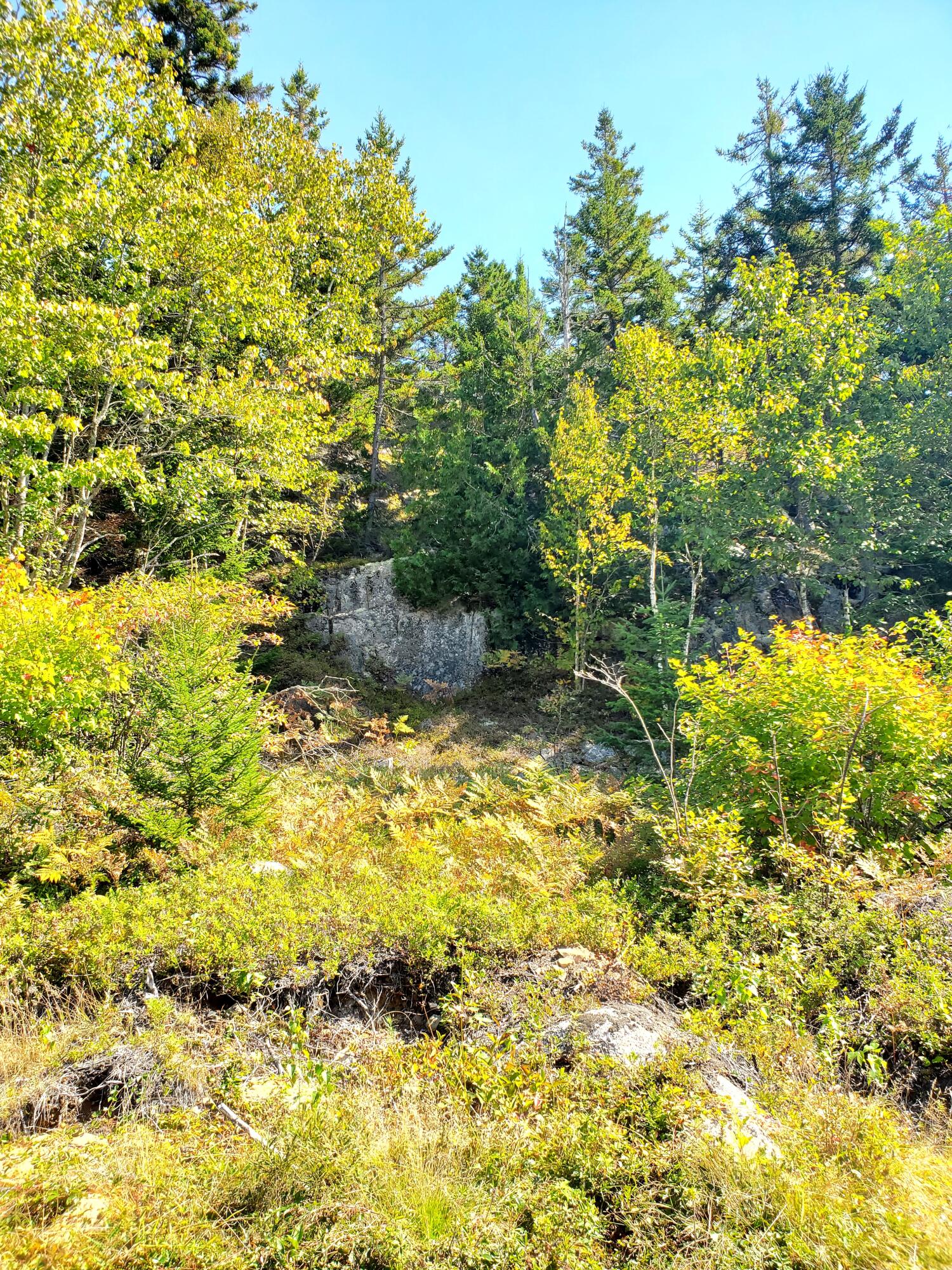 Lot 13-1 West Mcmann & Meadow Roads Addison, ME 04606 - Photo 38 of 88 20240914_111607