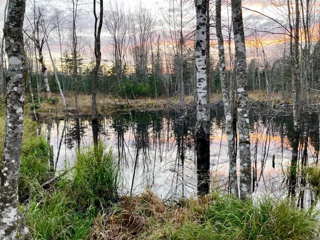 $290,440 | Lot 13-1 West Mcmann & Meadow Roads, Addison, ME 04606