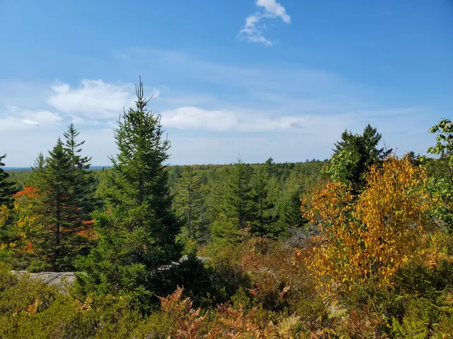 $290,440 | Lot 13-1 West Mcmann & Meadow Roads, Addison, ME 04606