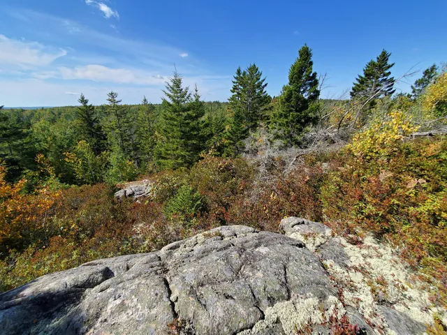$290,440 | Lot 13-1 West Mcmann & Meadow Roads, Addison, ME 04606