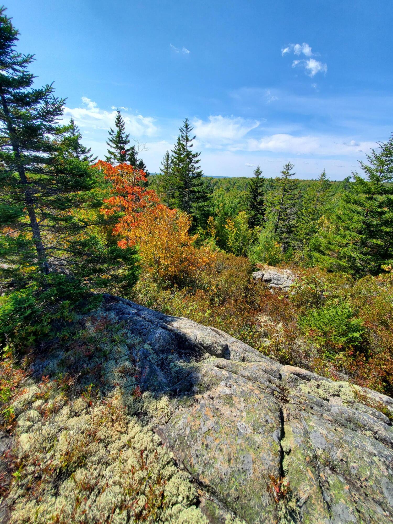 Lot 13-1 West Mcmann & Meadow Roads Addison, ME 04606 - Photo 55 of 88 20240914_115543
