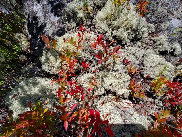 $290,440 | Lot 13-1 West Mcmann & Meadow Roads, Addison, ME 04606