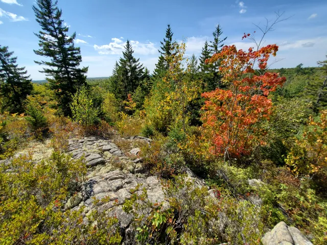 $290,440 | Lot 13-1 West Mcmann & Meadow Roads, Addison, ME 04606