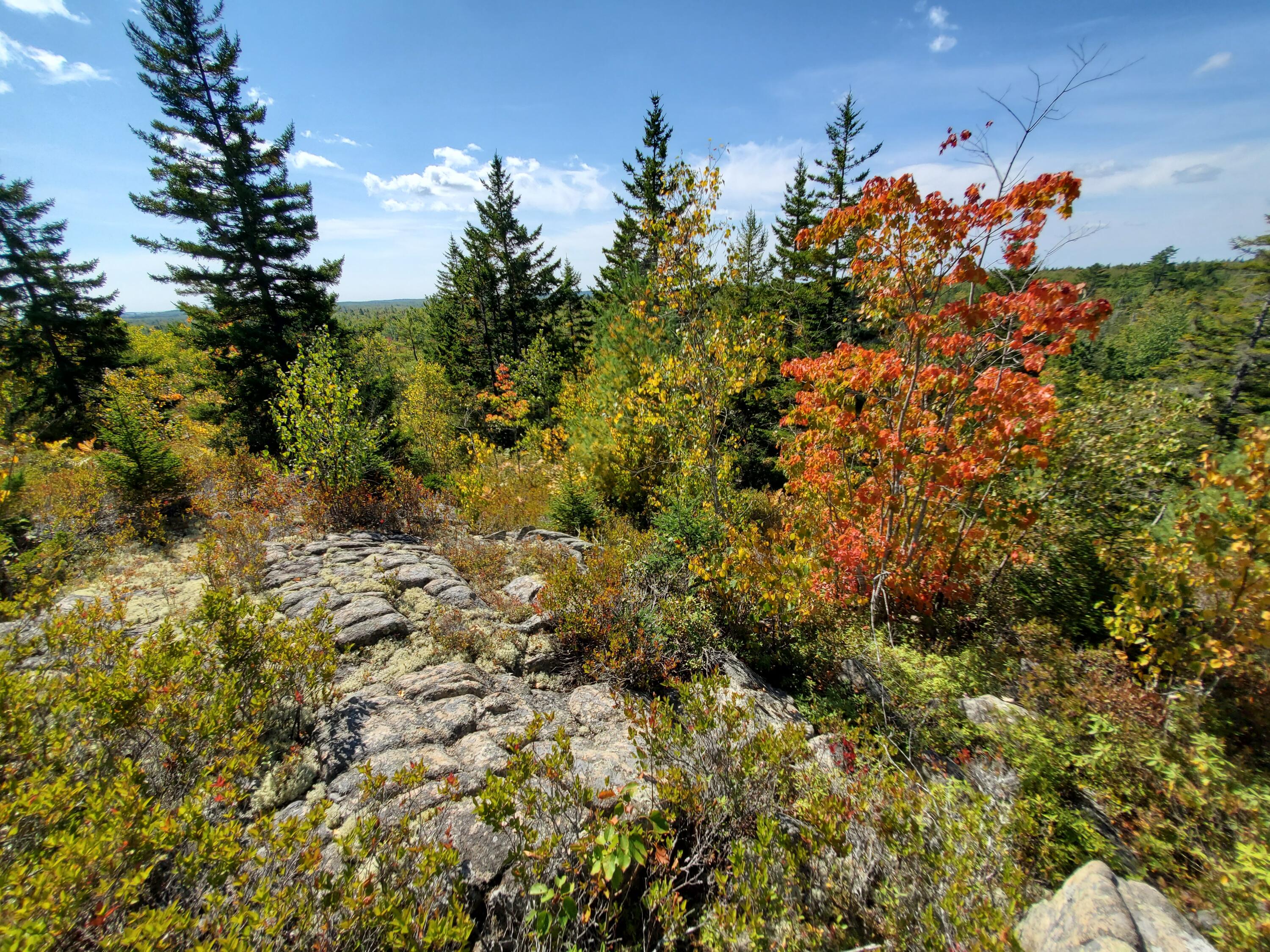 Lot 13-1 West Mcmann & Meadow Roads Addison, ME 04606 - Photo 57 of 88 20240914_115649