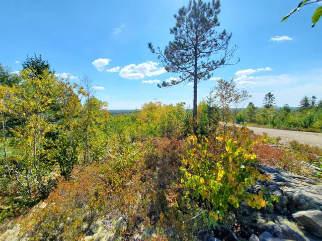 $290,440 | Lot 13-1 West Mcmann & Meadow Roads, Addison, ME 04606
