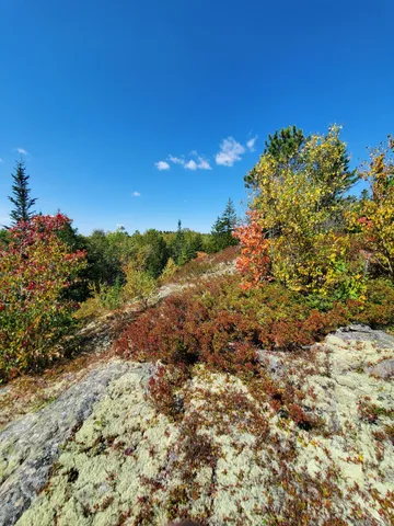 $290,440 | Lot 13-1 West Mcmann & Meadow Roads, Addison, ME 04606