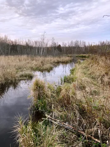 $290,440 | Lot 13-1 West Mcmann & Meadow Roads, Addison, ME 04606