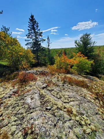 $290,440 | Lot 13-1 West Mcmann & Meadow Roads, Addison, ME 04606