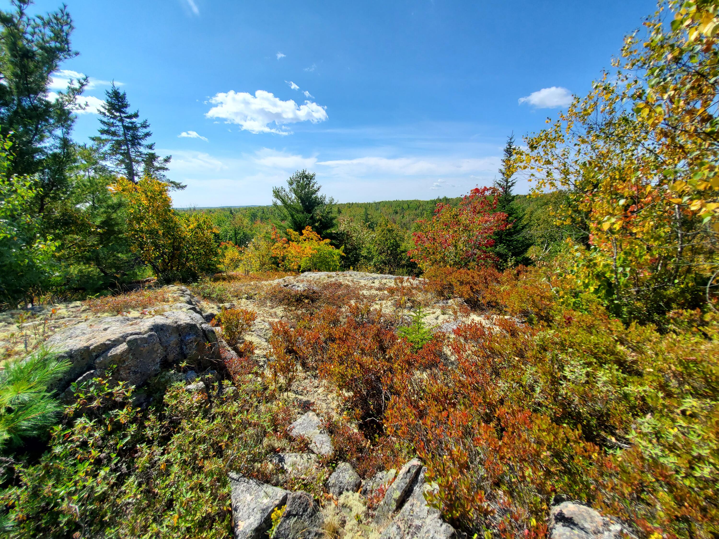Lot 13-1 West Mcmann & Meadow Roads Addison, ME 04606 - Photo 63 of 88 20240914_121317
