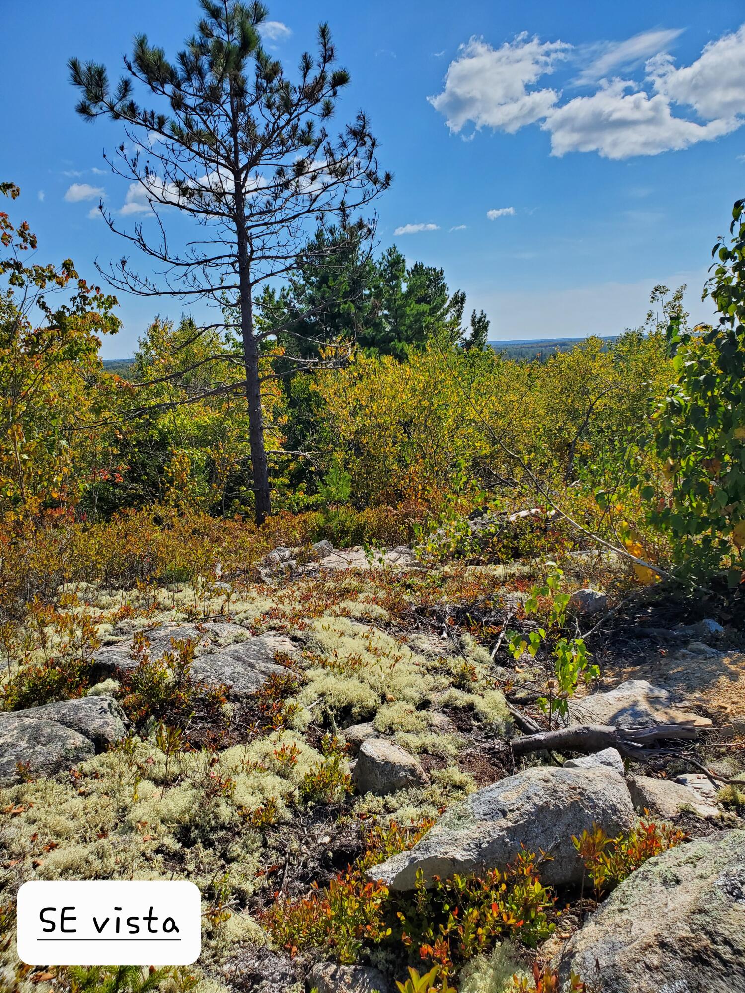 Lot 13-1 West Mcmann & Meadow Roads Addison, ME 04606 - Photo 64 of 88 20240914_120356