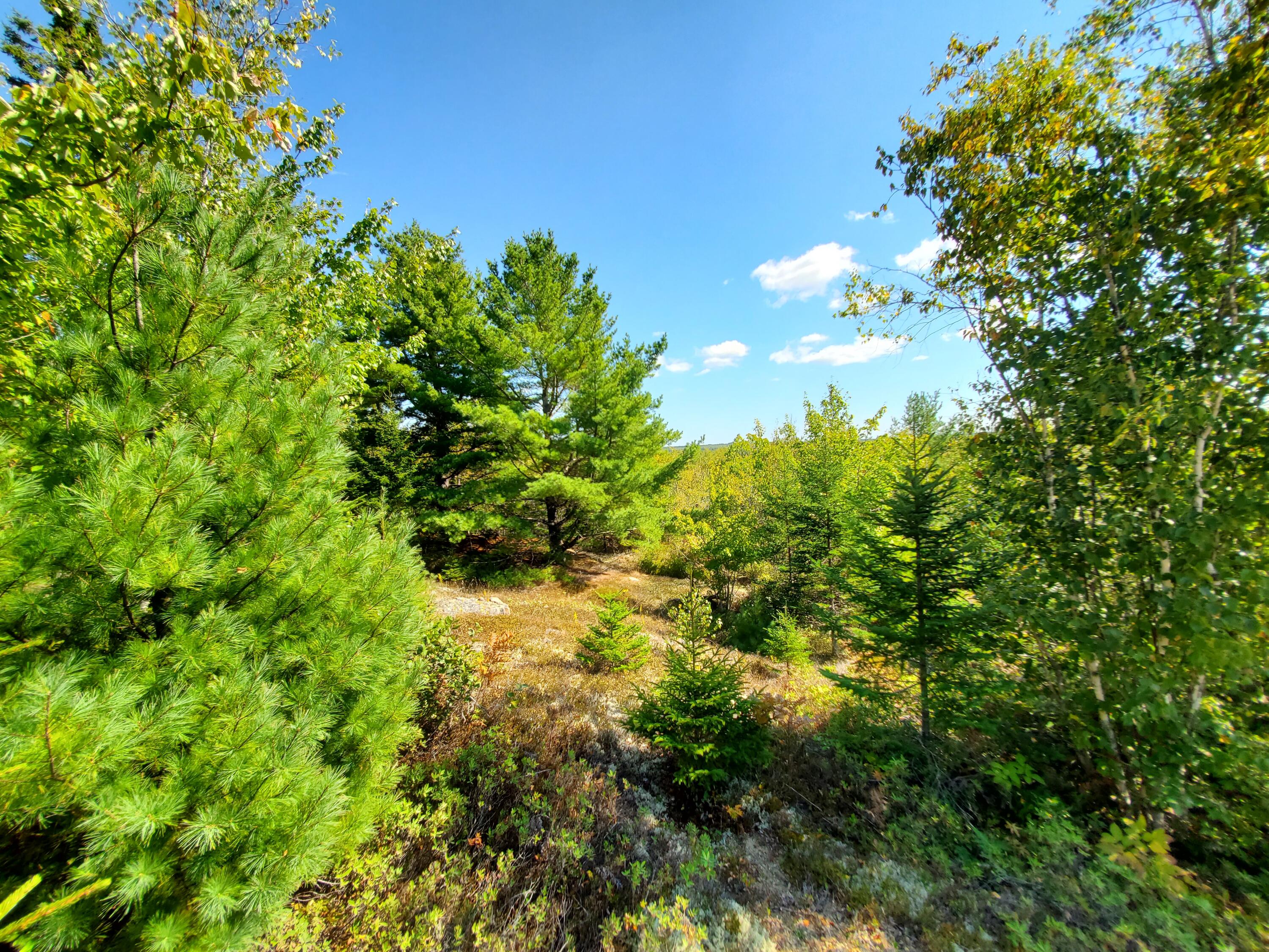 Lot 13-1 West Mcmann & Meadow Roads Addison, ME 04606 - Photo 65 of 88 20240914_121634