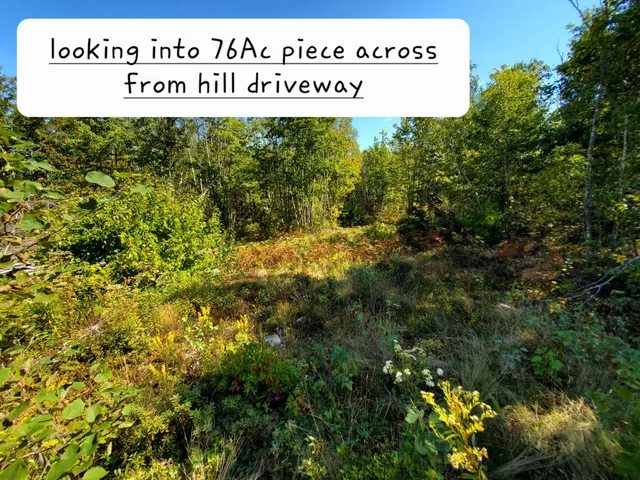$290,440 | Lot 13-1 West Mcmann & Meadow Roads, Addison, ME 04606