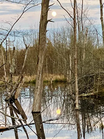 $290,440 | Lot 13-1 West Mcmann & Meadow Roads, Addison, ME 04606