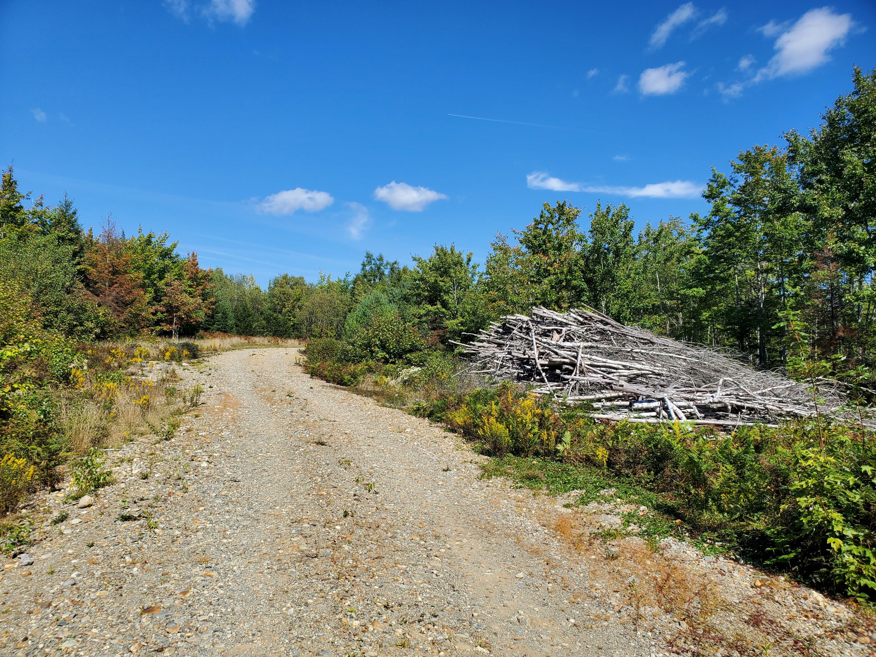 Lot 13-1 West Mcmann & Meadow Roads Addison, ME 04606 - Photo 71 of 88 Easterly along Golden Rd