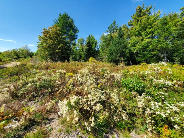 $290,440 | Lot 13-1 West Mcmann & Meadow Roads, Addison, ME 04606