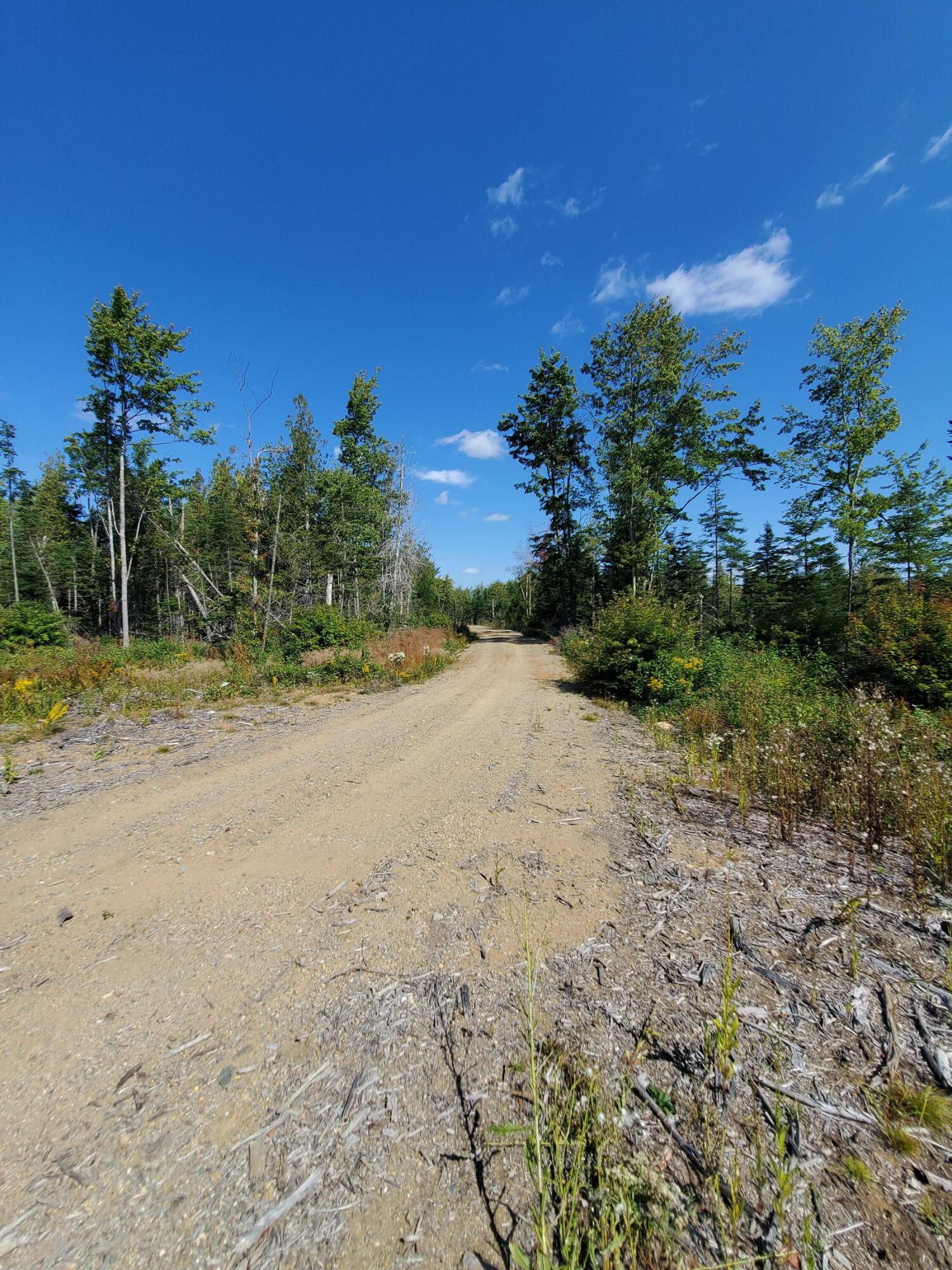 Lot 13-1 West Mcmann & Meadow Roads Addison, ME 04606 - Photo 73 of 88 Golden Rd