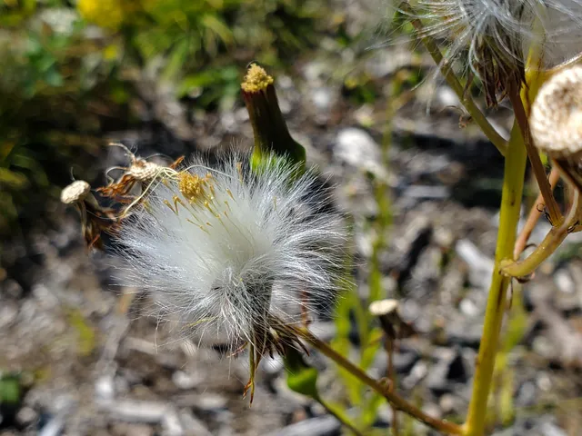 $290,440 | Lot 13-1 West Mcmann & Meadow Roads, Addison, ME 04606