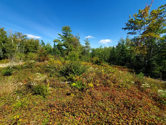 $290,440 | Lot 13-1 West Mcmann & Meadow Roads, Addison, ME 04606