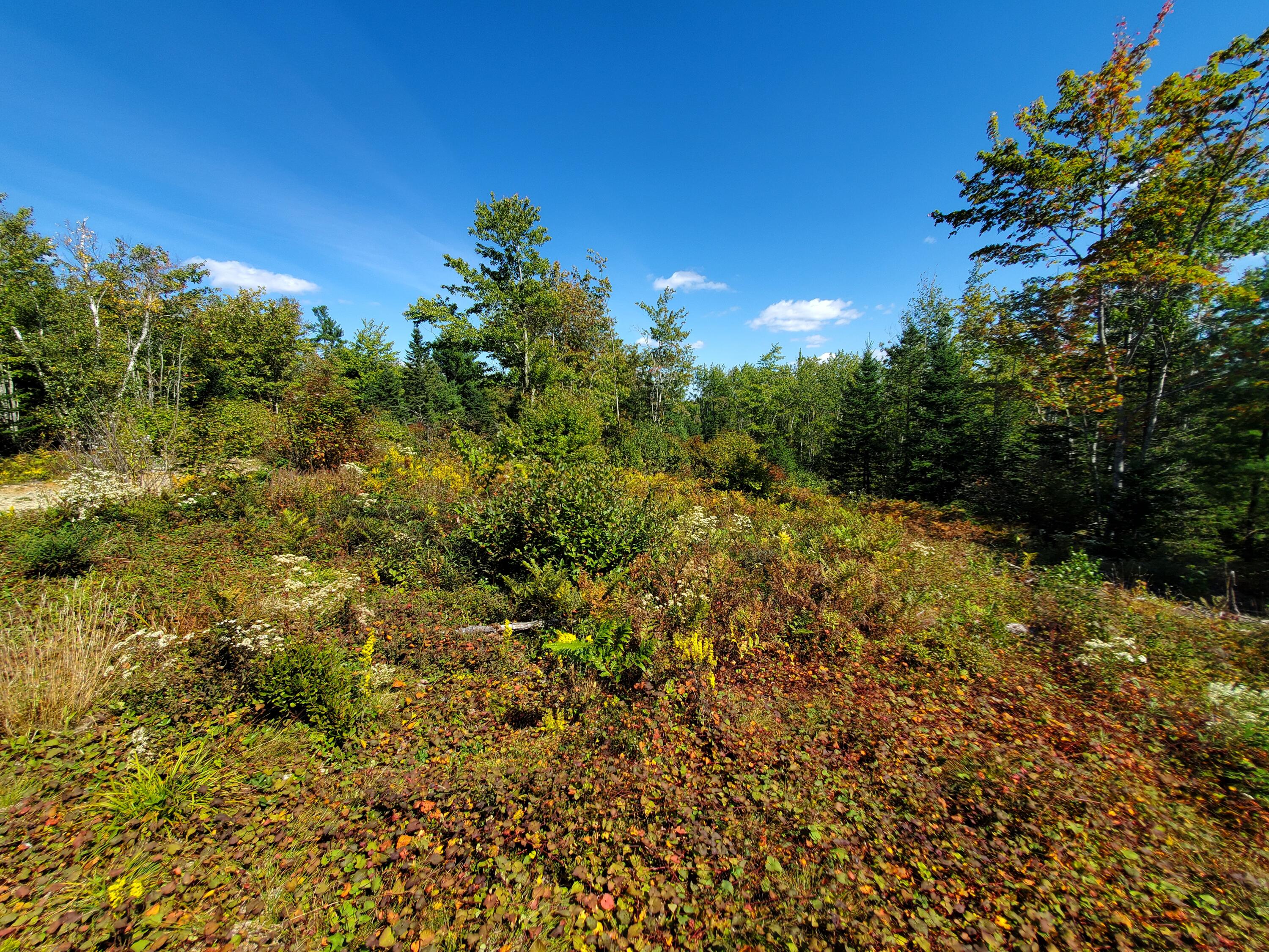 Lot 13-1 West Mcmann & Meadow Roads Addison, ME 04606 - Photo 76 of 88 20240914_125959