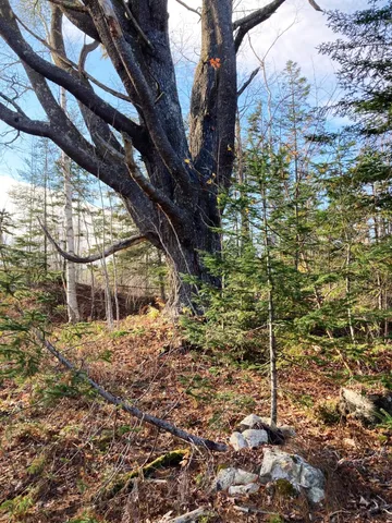 $290,440 | Lot 13-1 West Mcmann & Meadow Roads, Addison, ME 04606