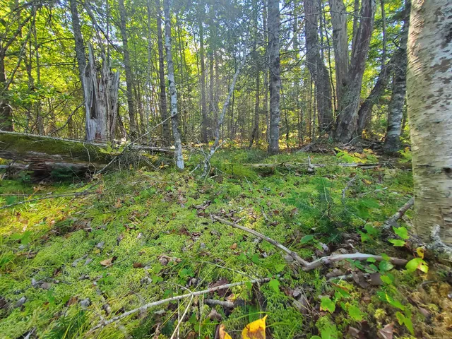 $290,440 | Lot 13-1 West Mcmann & Meadow Roads, Addison, ME 04606