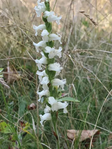 $290,440 | Lot 13-1 West Mcmann & Meadow Roads, Addison, ME 04606