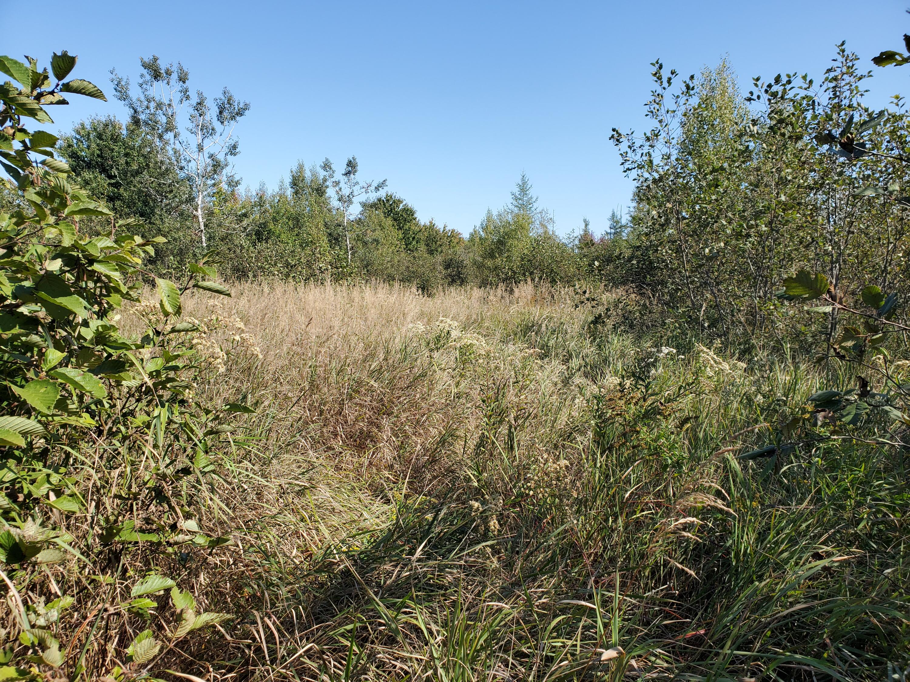 Lot 13-1 West Mcmann & Meadow Roads Addison, ME 04606 - Photo 88 of 88 20240914_141235