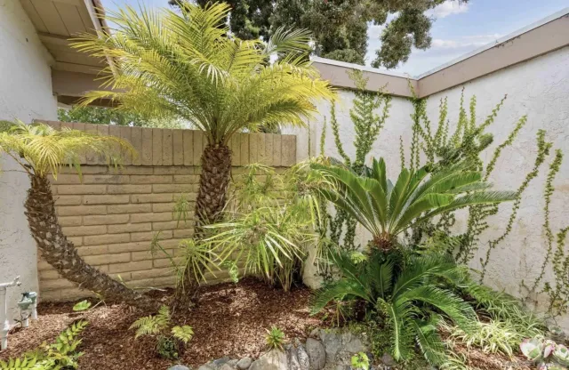 $6,400 | 1608 Caminito Asterisco, La Jolla, CA 92037