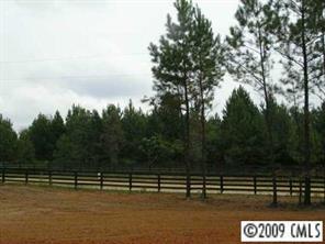 1487 Mission Road York, SC 29745 - Photo 4 of 8 a view of a ocean with large trees