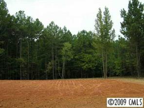 1487 Mission Road York, SC 29745 - Photo 7 of 8 a view of outdoor space with trees