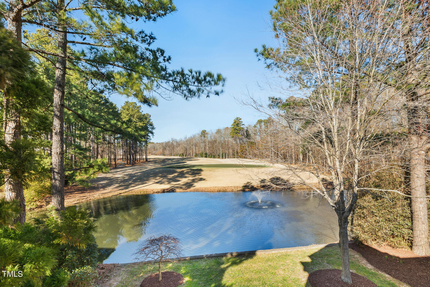 8908 Winged Thistle Court Raleigh, NC 27617 - Photo 40 of 77 8908 Winged Thistle Ct Raleigh-large-080