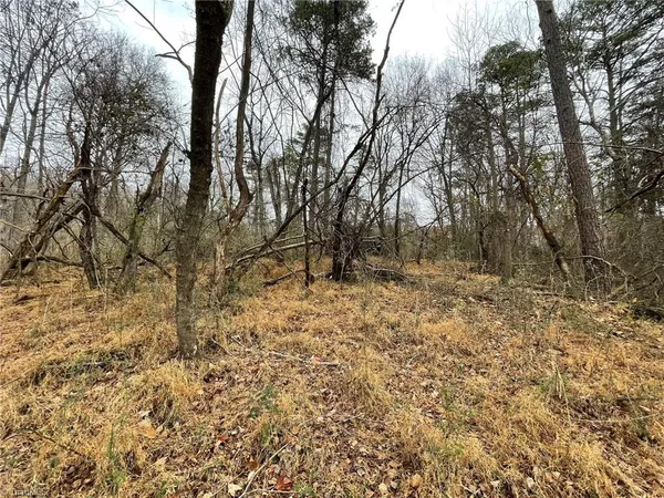 $27,500 | Tbd-000 East Main Street, Elkin, NC 28621