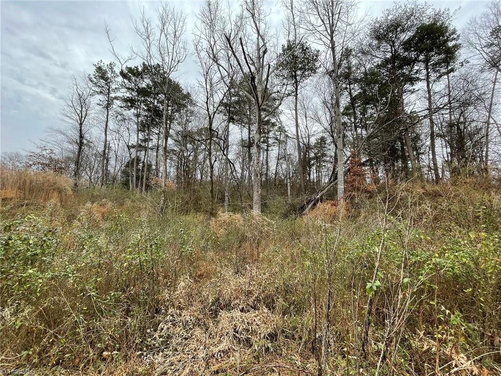 Tbd-000 East Main Street Elkin, NC 28621 - Photo 10 of 11