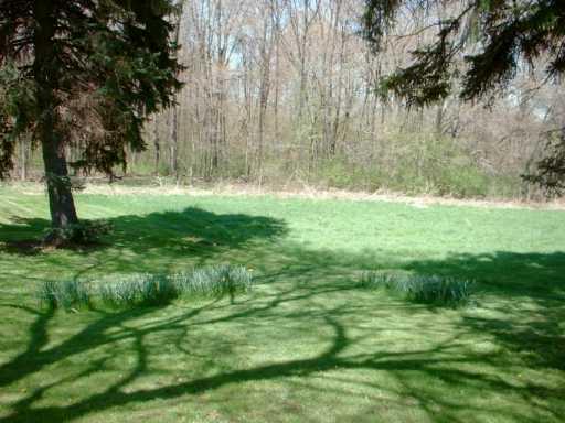 251 Herman Road Fombell, PA 16123 - Photo 6 of 8 Land.